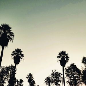 Meet your Posher, Ian